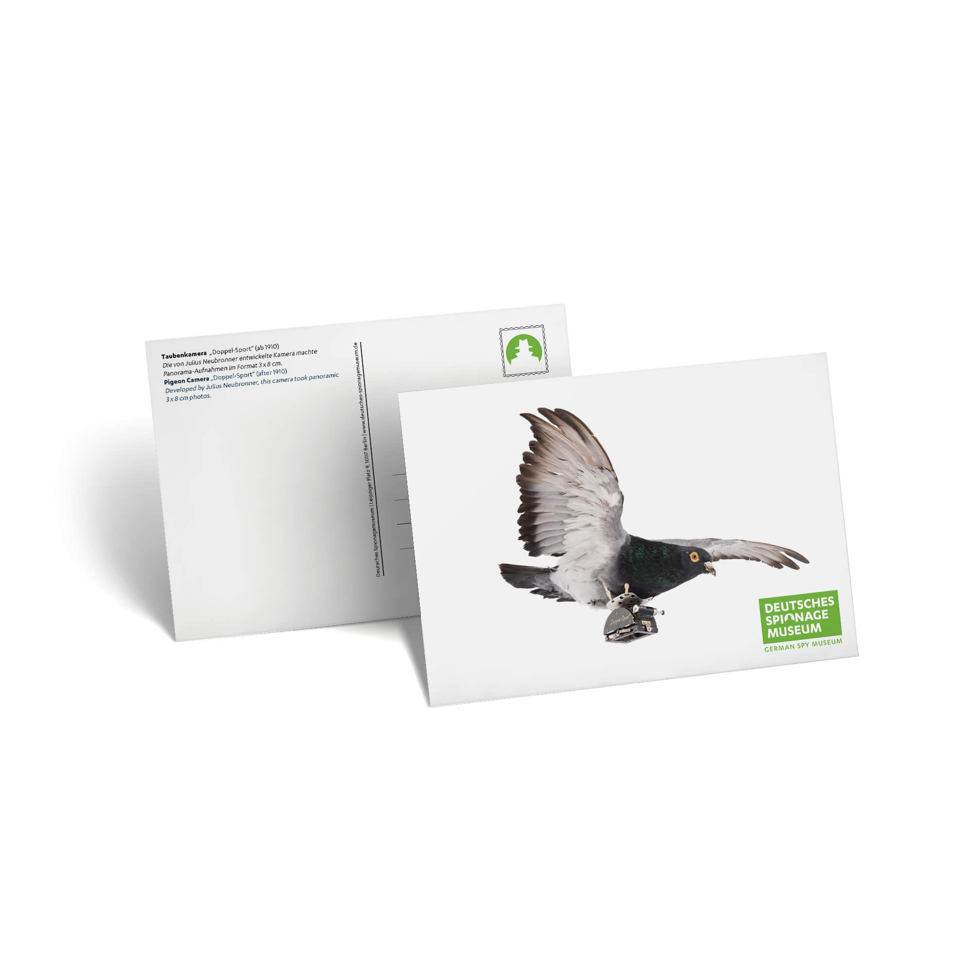 Postcard Pigeon Camera
